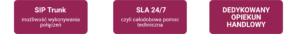 Telefonia internetowa
