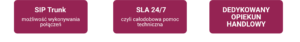 Telefonia internetowa