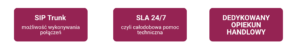 Telefonia internetowa dla firm cennik